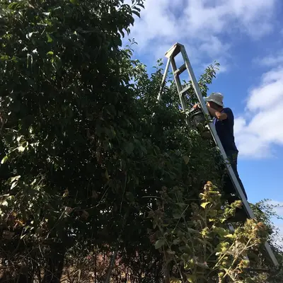 Farm in Western Oregon